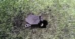 Motor Comporta Da Chaufagem Sofagem  Volvo S60 I (384) - 1