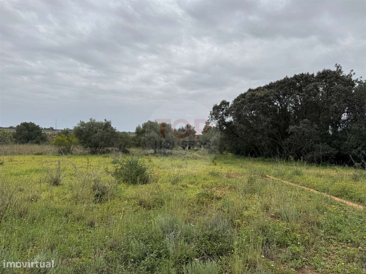 Terreno Rústico - Grande imagem: 5/9