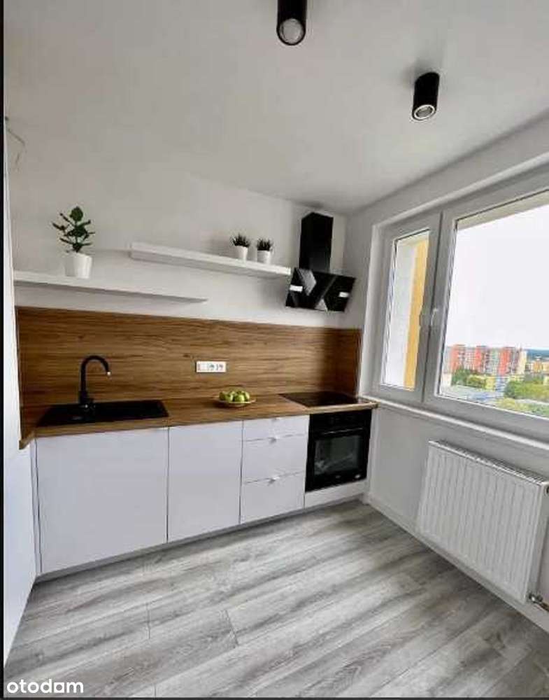 Kawalerka po kapitalnym remoncie Piątkowo - Pełny obrazek: 2/9