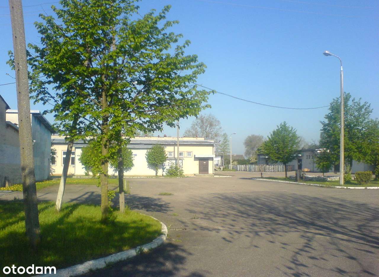 Zakład produkcyjny z chłodnią i linią produkcyjną soków Cheer Pack - Pełny obrazek: 4/20