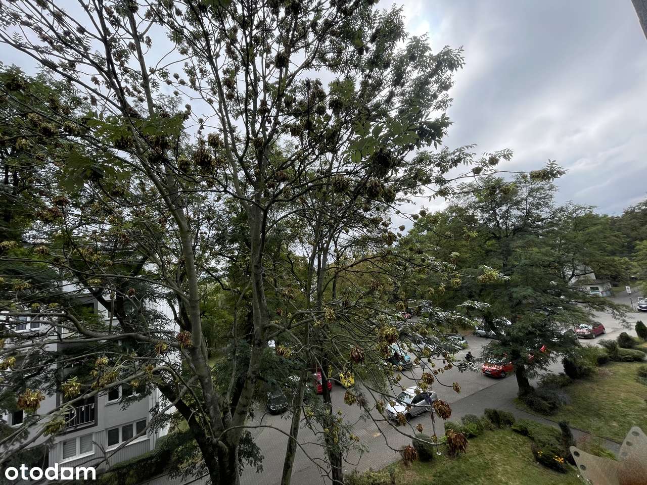 3 pokoje ul Olszewskiego przy pętli na Wielkiej Wyspie-6