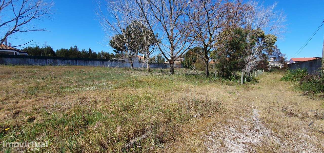 Quinta com 5000 m2  com moradia T4-13