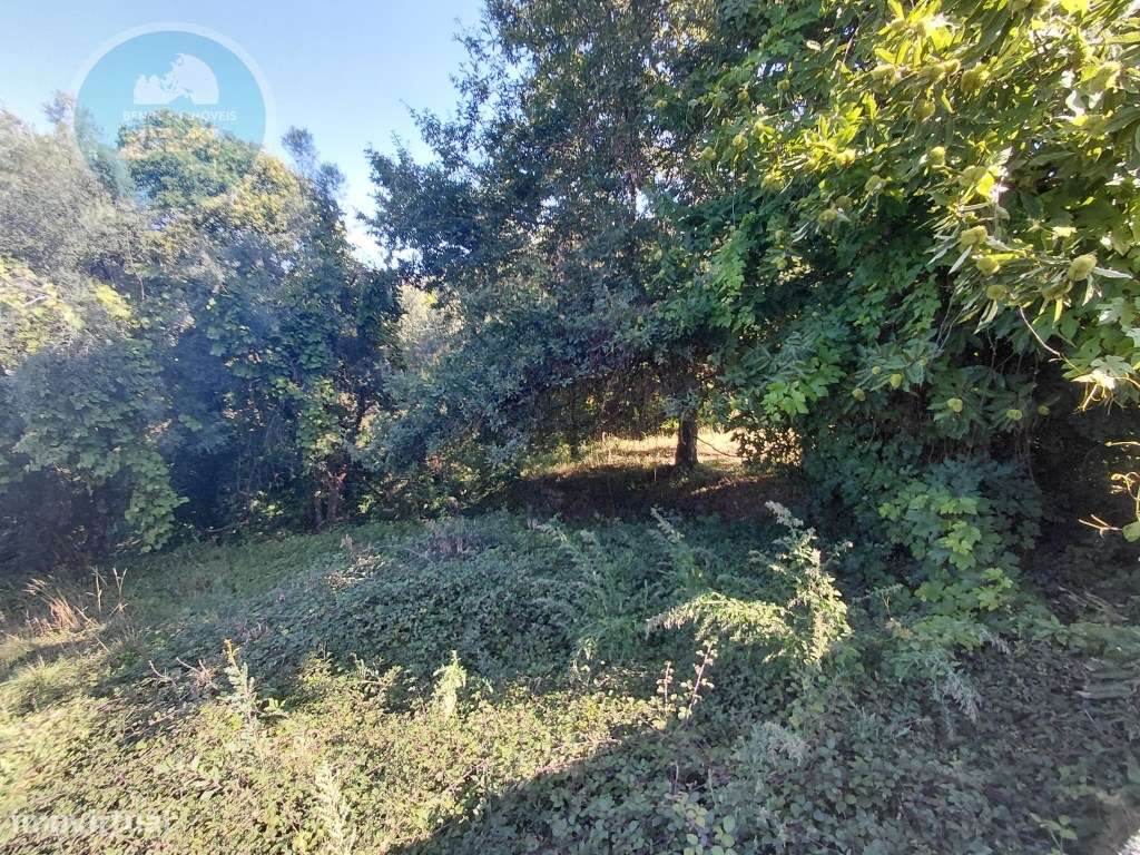 Casa Rústica em Pedra com Terreno para Restauro - Cambeses, Cabecei...-58