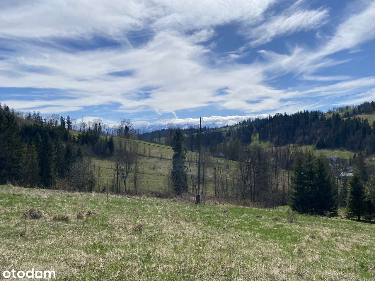 Dom drewniany na dużej działce w otoczeniu natury - Pełny obrazek: 4/8