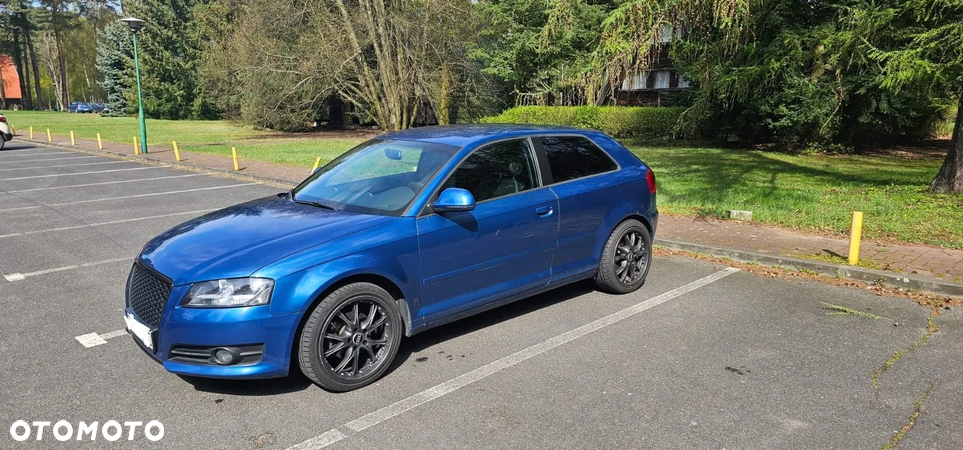 Audi A3 1.6 TDI Ambiente - 10