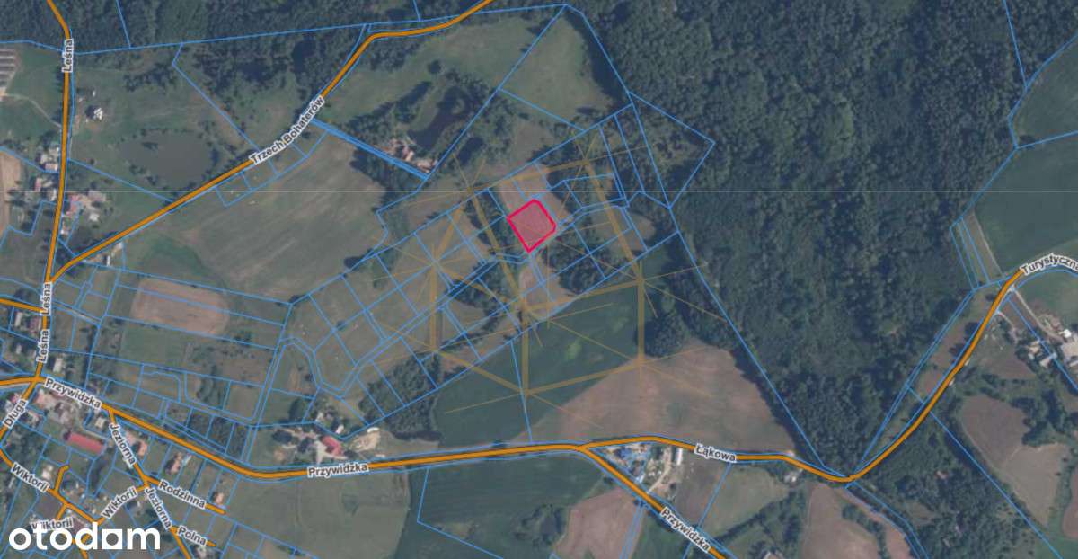 Jezioro/Kameralne Osiedle/ Pod Budowę/ Las/ Kamela - Pełny obrazek: 4/14