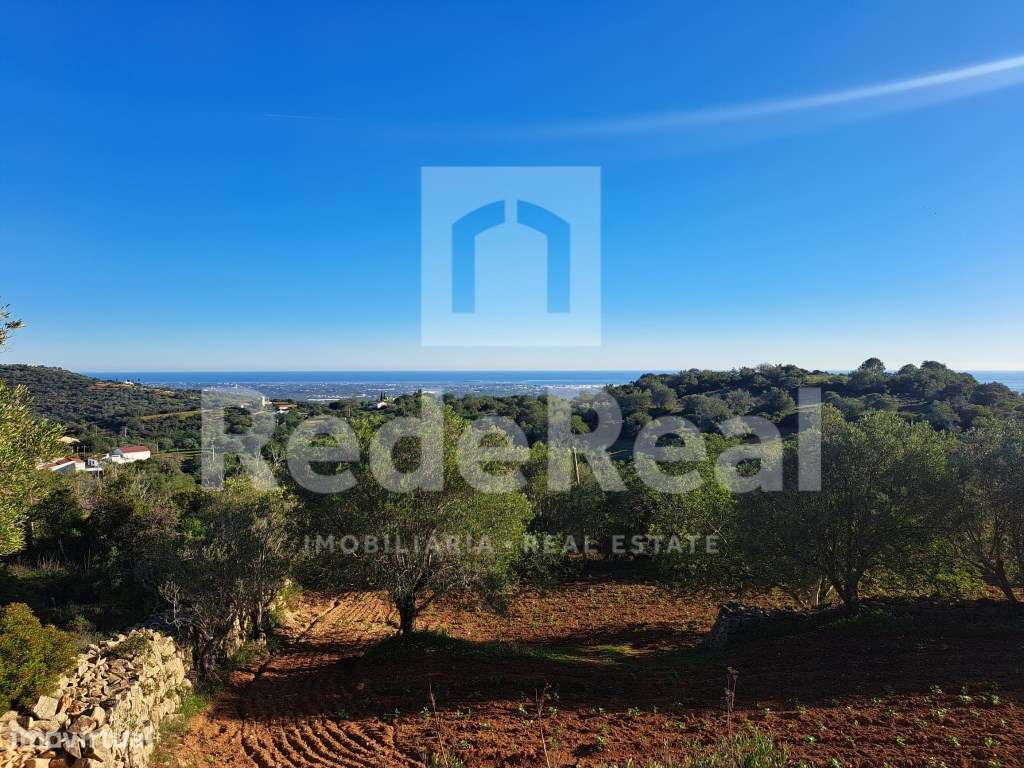 Terreno rústico em Estoi - Grande imagem: 3/22