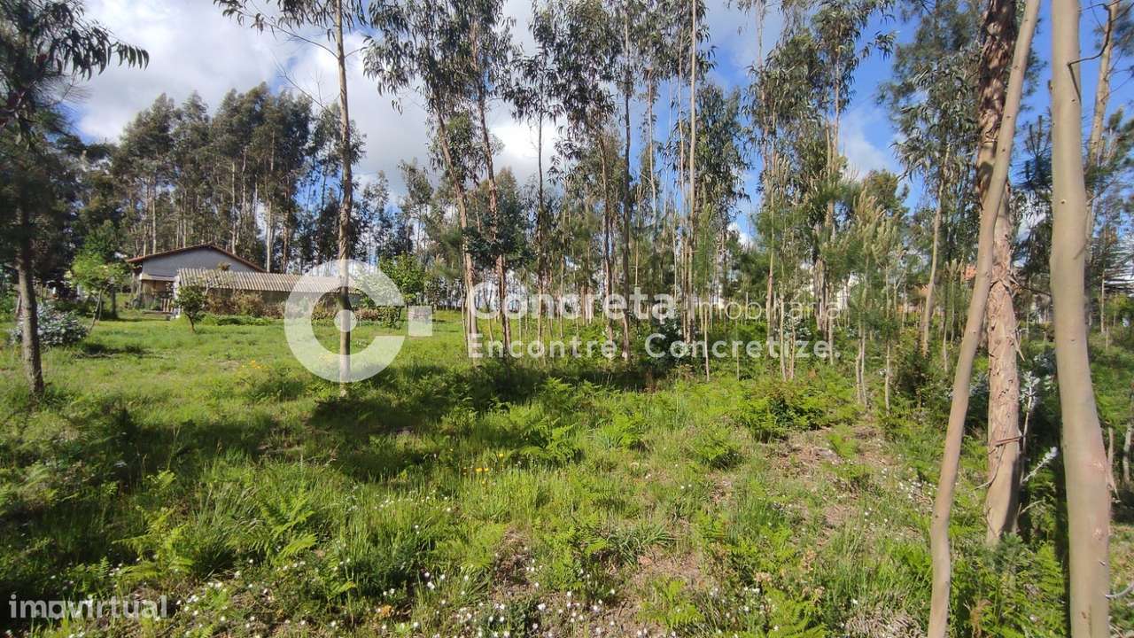 Terreno para Construção em Várzea, Barcelos - Grande imagem: 4/8