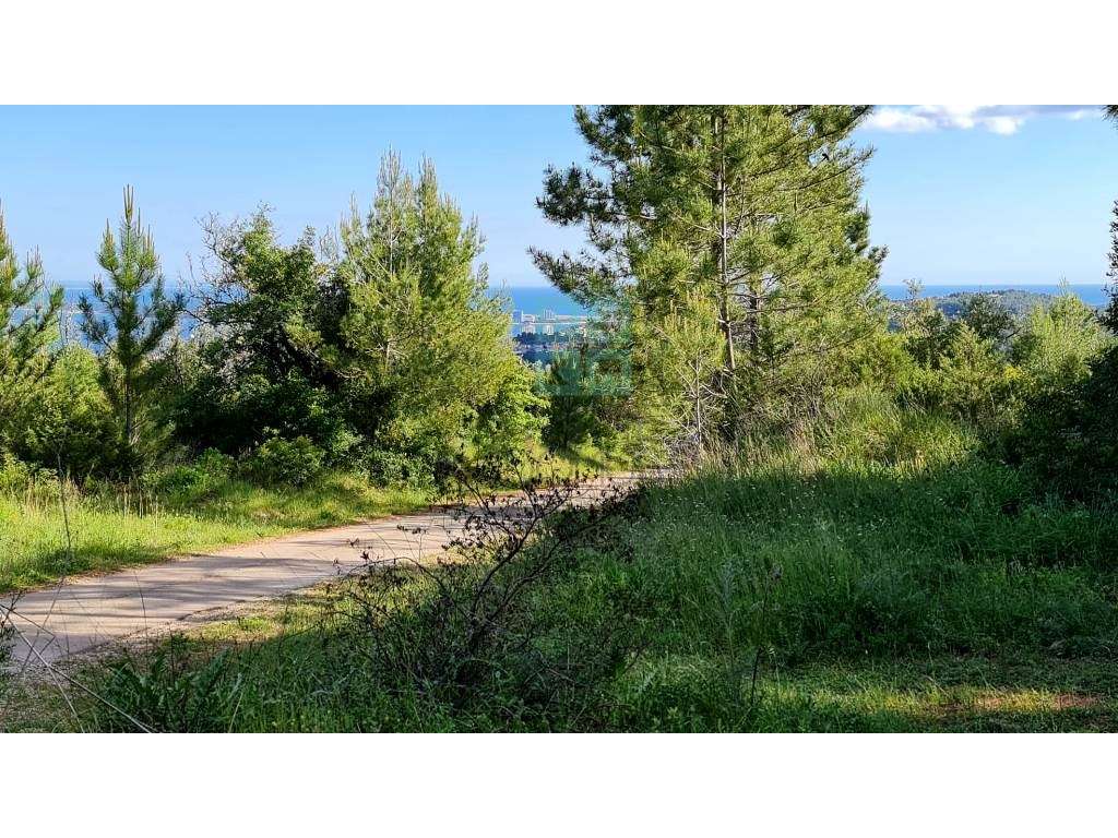 Quinta com 435.487 m2 na Serra da Arrábida, em Palmela, Setúbal-32