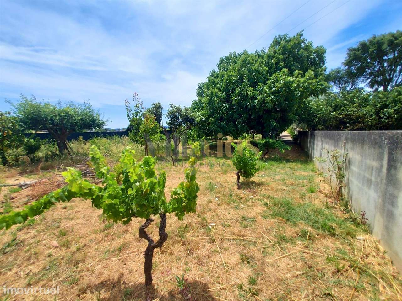 Moradia T2 com Piscina, Pomar e Garagens Duplas a 5 Minutos de Tomar |-11