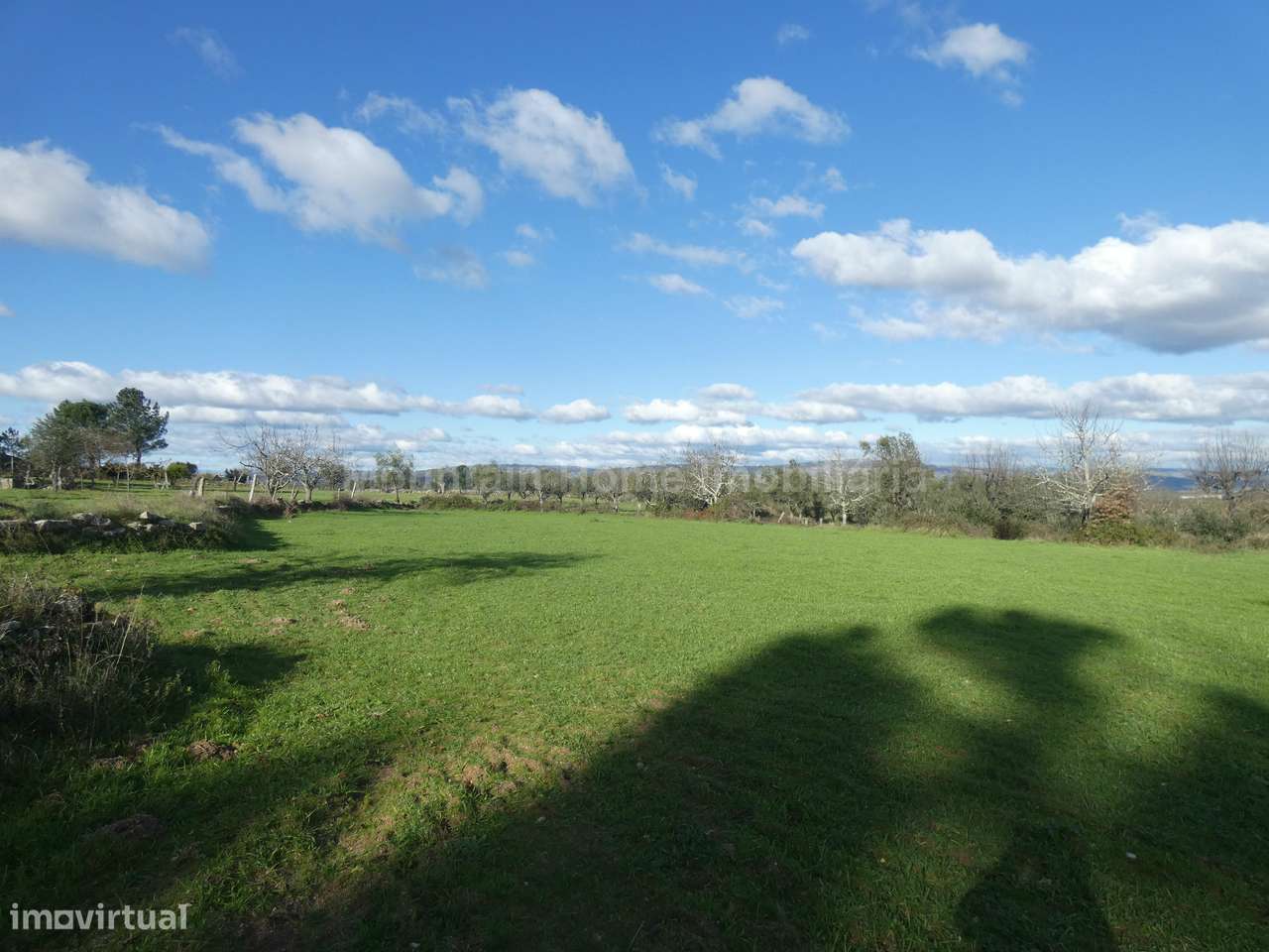 Quinta  Venda em Vila Nova de Tazem,Gouveia - Grande imagem: 4/9