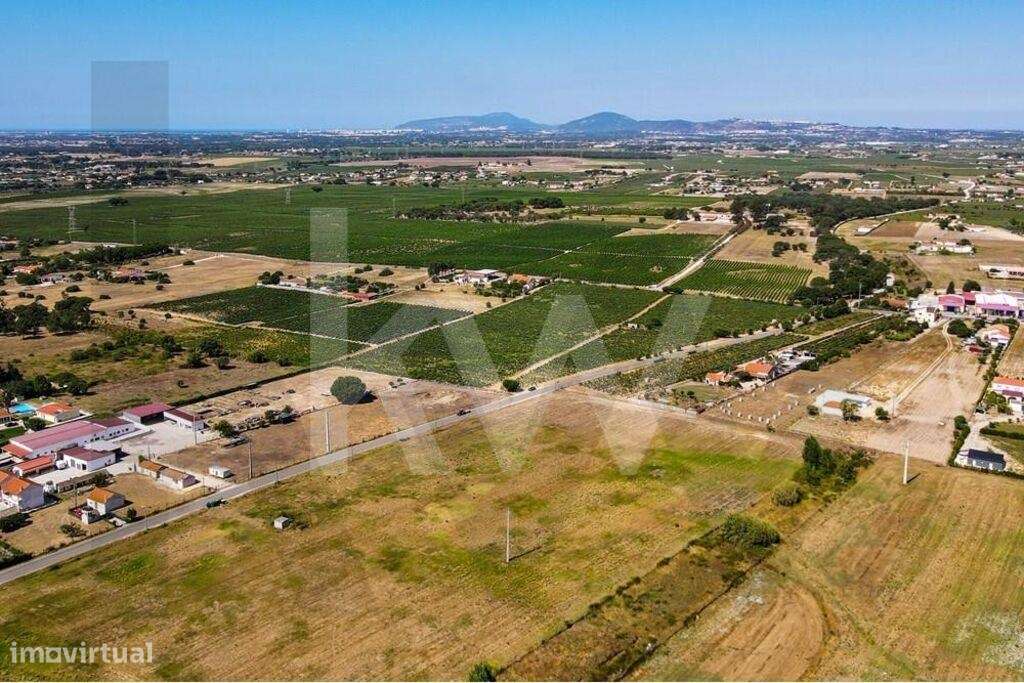 Terreno RÚSTICO c/ 1,86ha | Cajados - Palmela - Grande imagem: 5/12