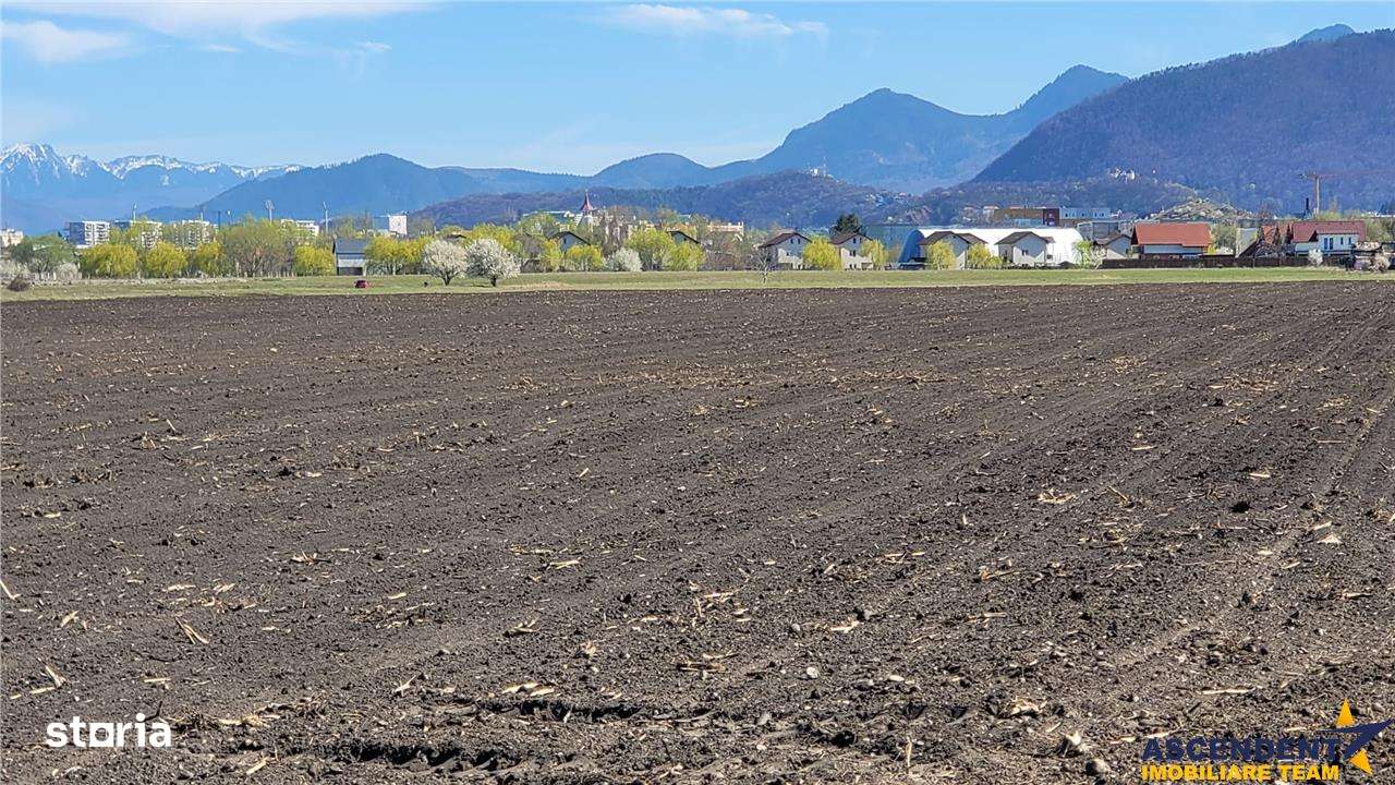 50.000mp teren intravilan, Clasa Master,  in Brasov spre Stupini - Imagine principală: 2/16