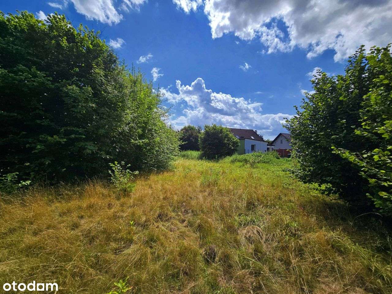 Duża działka budowlano-rolna z potencjałem-5
