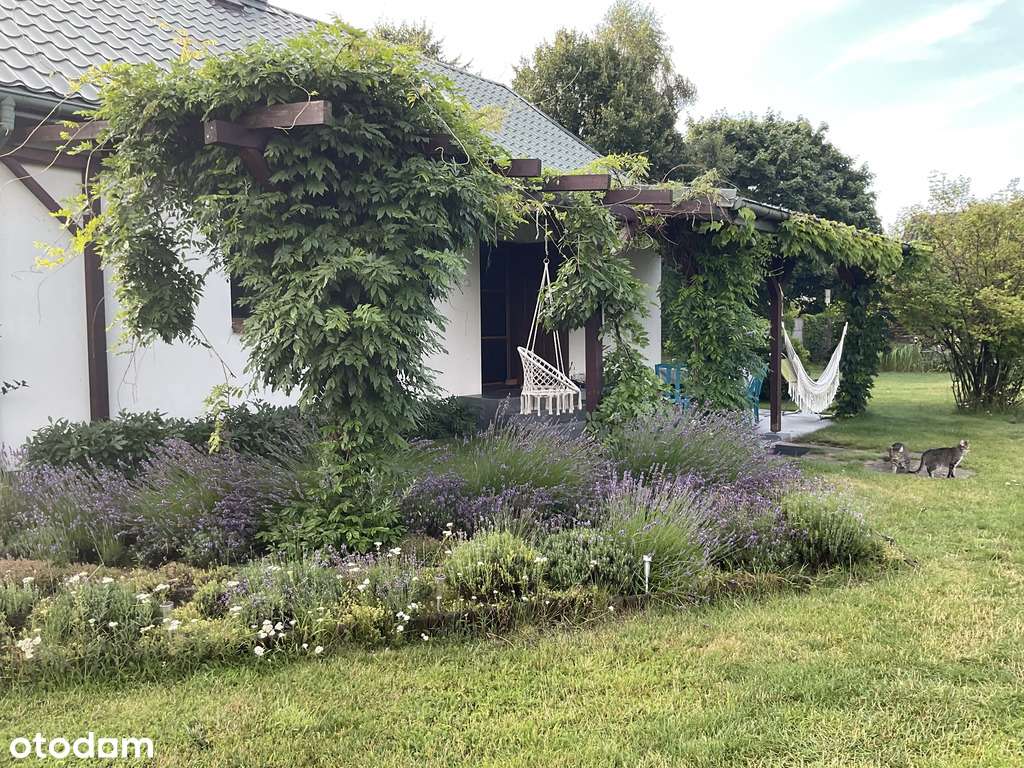 Siedlisko, staw, ogród, fotowoltaika, 7300 m²-7