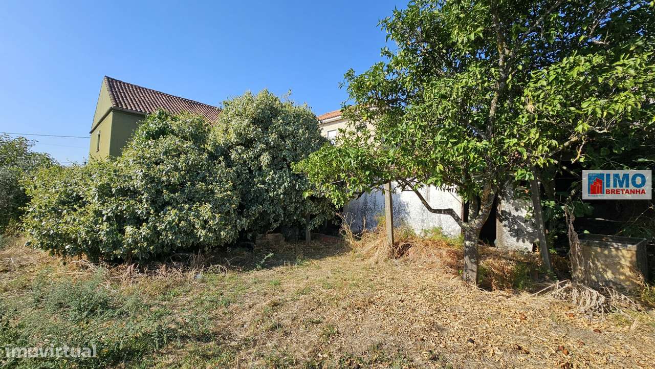 Moradia V6 c/ Quintal - Maxiais - 10 min de Castelo Branco-25