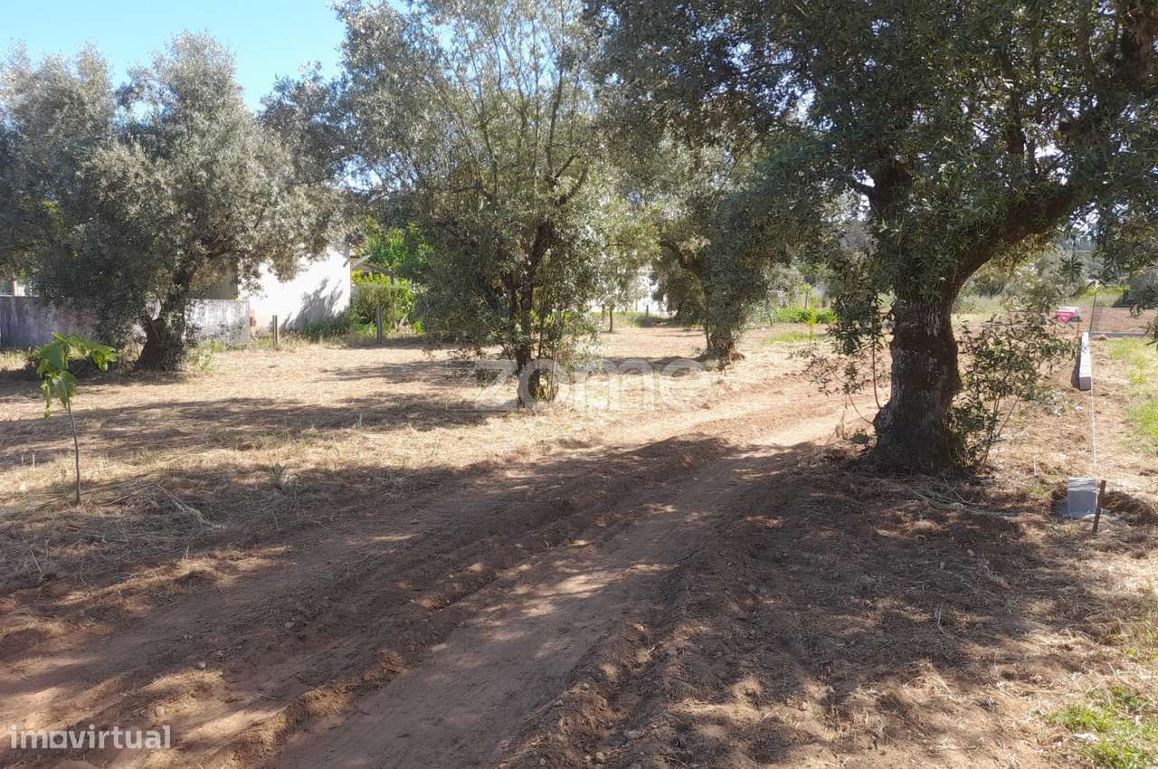 Terreno Rustico - Grande imagem: 4/27