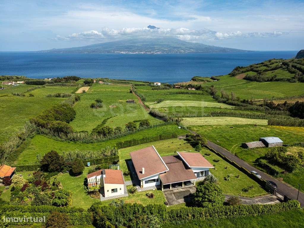 Moradia T3 com Vista Deslumbrante para a Ilha do Pico - Pedro Migue... - Grande imagem: 3/43