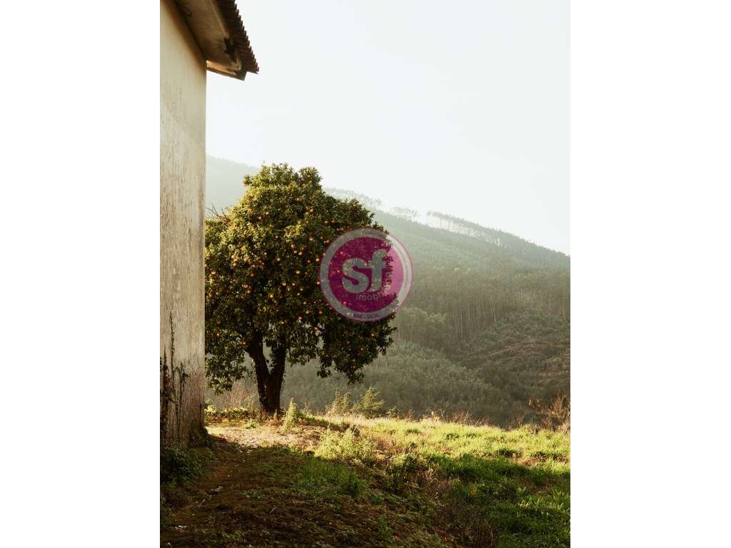 Moradia T3 para venda !-17