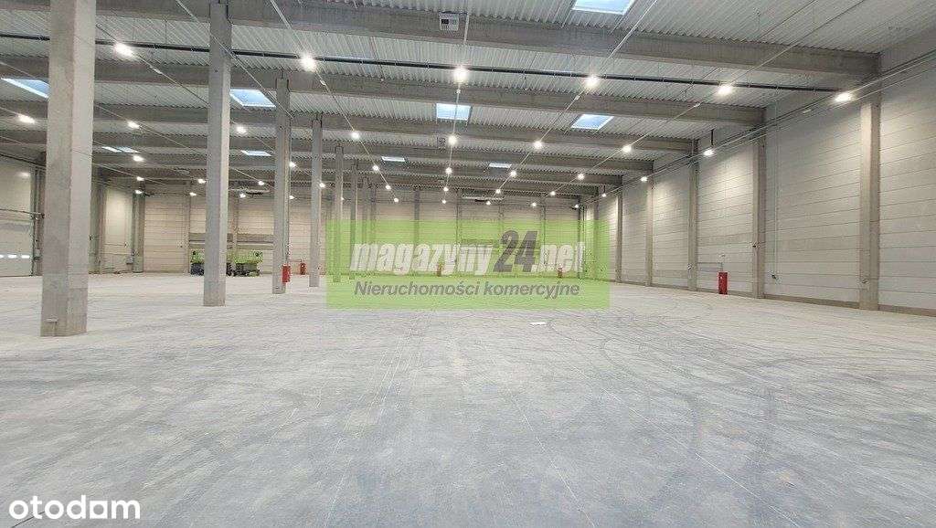 Lesznowola hala magazynowo - produkcyjna - Pełny obrazek: 5/17