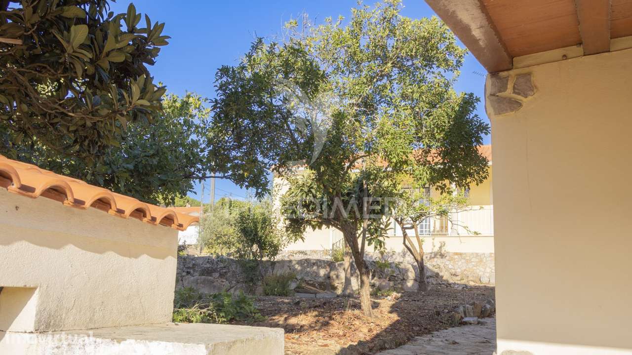 Moradia T2 a 5 minutos de Alcobaça - Grande imagem: 5/32