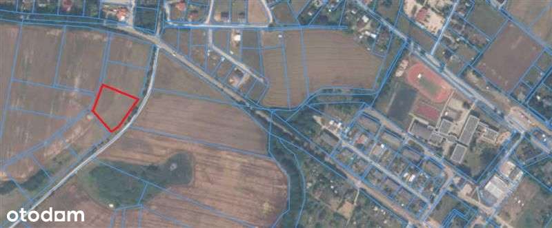 Działka rolna - Goszczyno-5