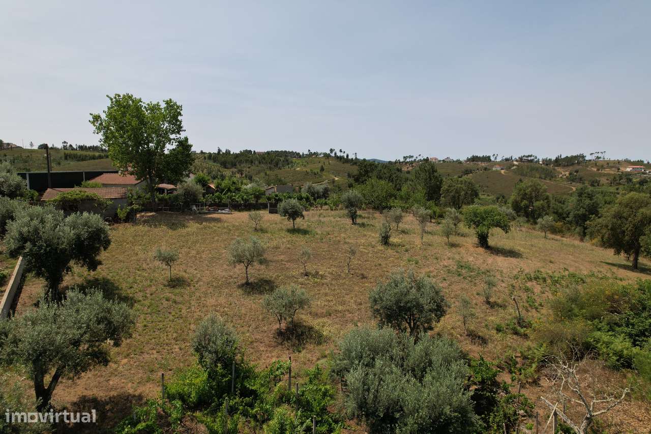 Terreno urbanizável de 4200m2, permite construção de moradia de 210m2-18