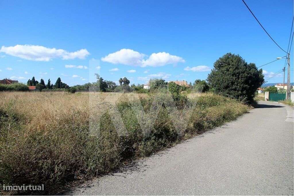 Terreno com 2500m2 a 10min do centro de Coimbra | Duas Frentes - Grande imagem: 4/15