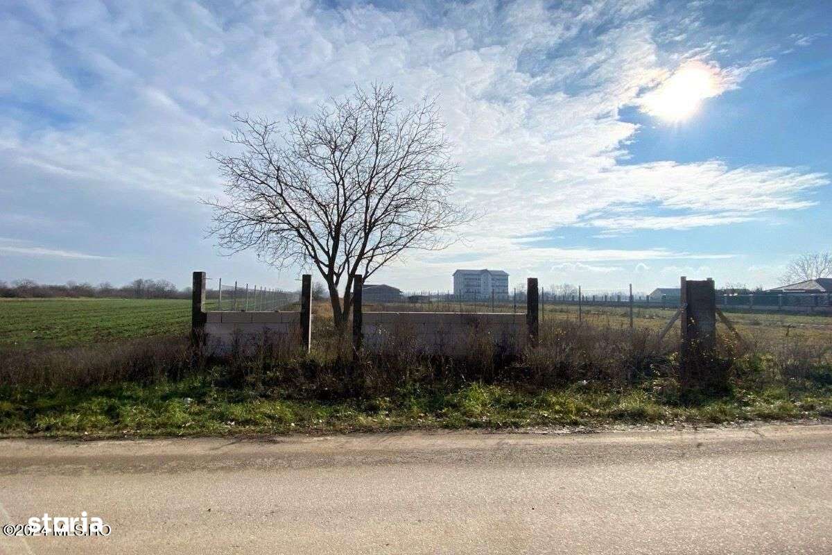 Afumati - Str. Iasomiei, 2409 MP, stradal, intravilan, deschidere 12 m - Imagine principală: 3/19