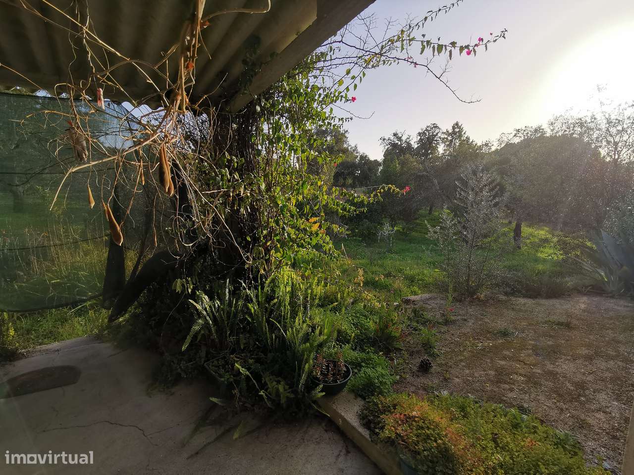 Moradia T2  Lamarosa de Coruche-22