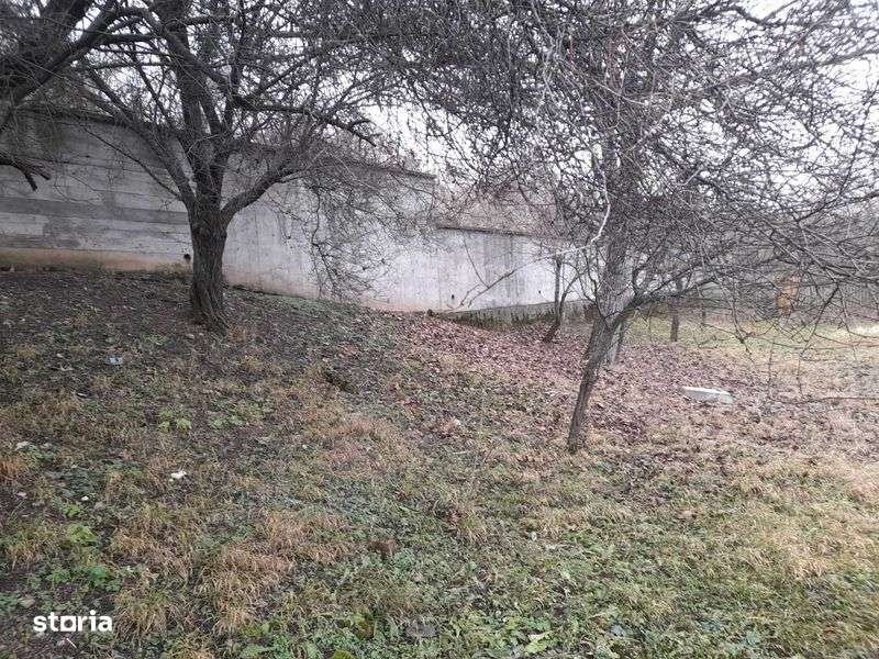 Teren cu Casa  de vanzare in localitatea Ion Luca Caragiale pe dn72 - Imagine principală: 5/7