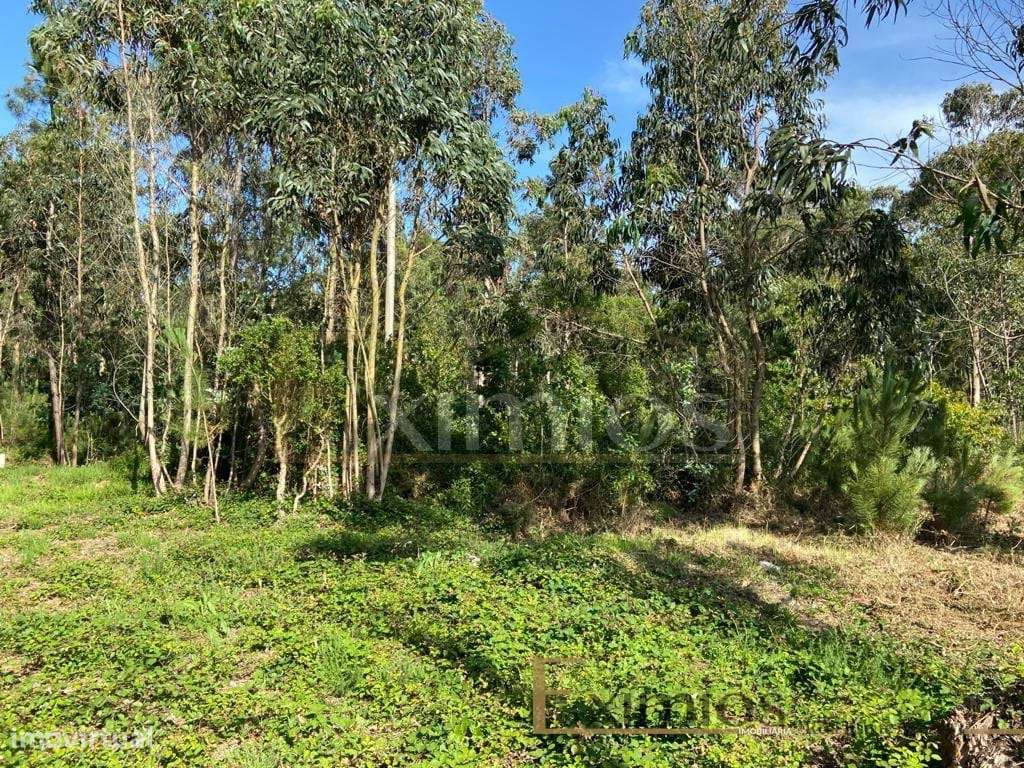 Venda de Terreno em Labruge, a 800 m da praia - Grande imagem: 4/7