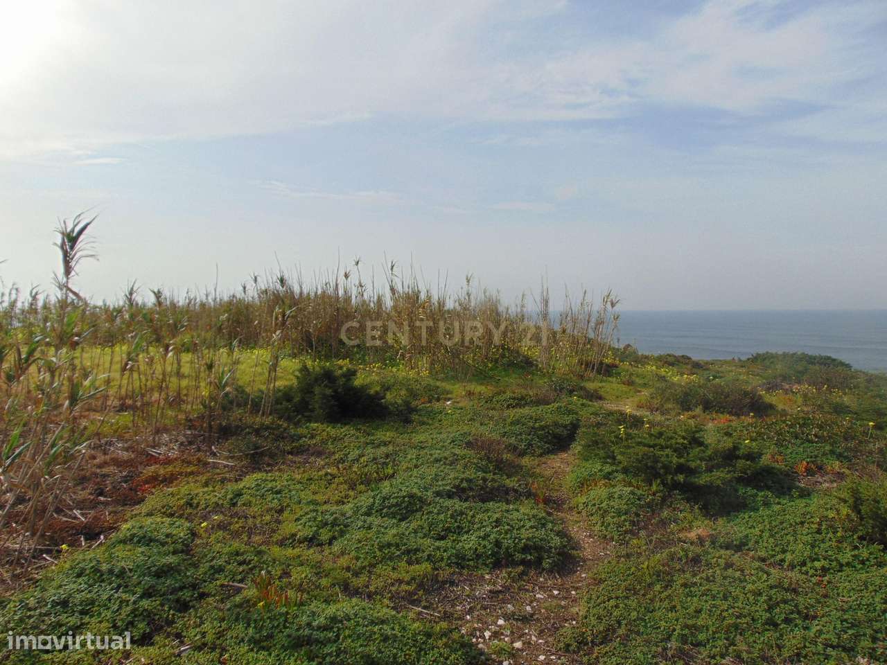 Terreno Rústico 5250m2 perto da Ericeira junto ao mar - Grande imagem: 4/14
