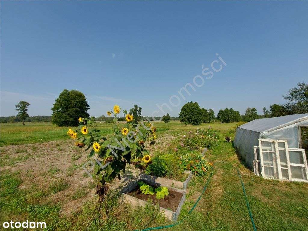 Siedlisko Jak Z Bajki, Miejskie Media, Komunikacja-14