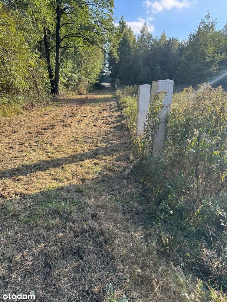 Kuklówka Radziejowicka. Działka budowlana w atrakcyjnej cenie!-3