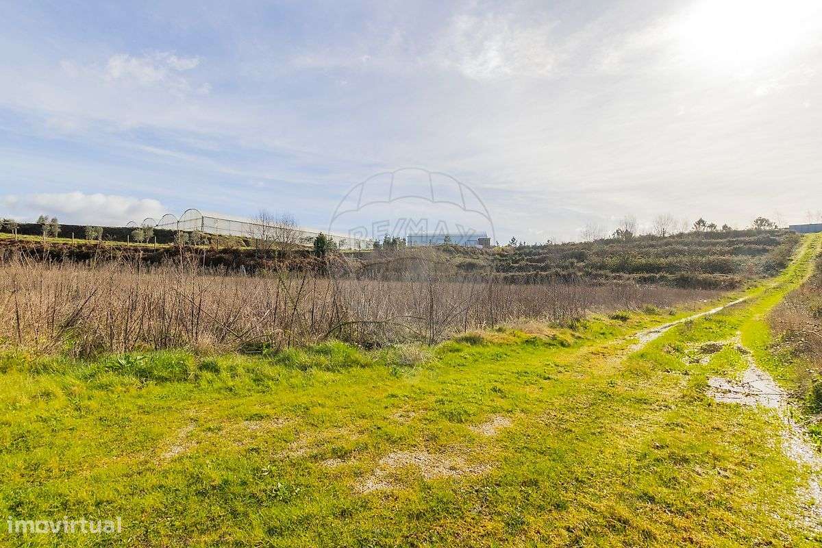 Industrial  para venda - Grande imagem: 4/16