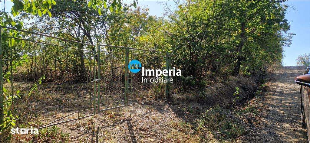 Teren intravilan de vanzare in Iasi, amplasat in zona Holboca-Ruseni - Imagine principală: 3/9