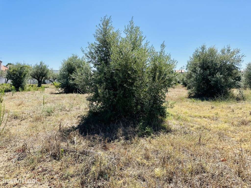 Terreno - Grande imagem: 3/7