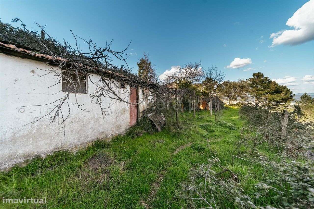 Quinta T3 / Covilhã, Cantar - Galo - Grande imagem: 5/20