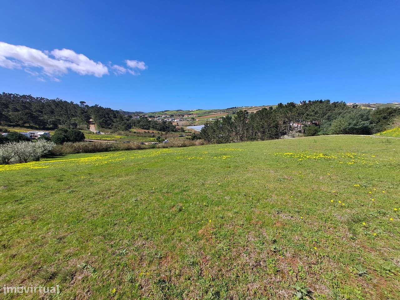 Terreno Agrícola com 8.440 m² no Vimeiro – Lourinhã - Grande imagem: 5/20