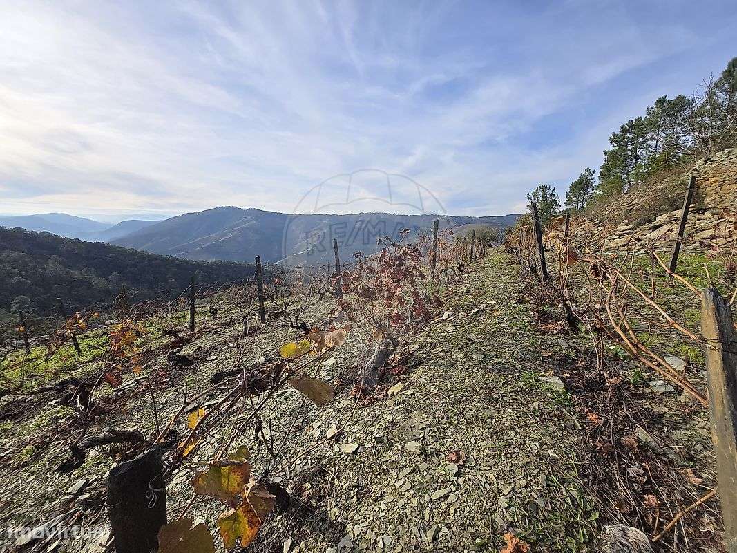 Terreno  para venda - Grande imagem: 4/22