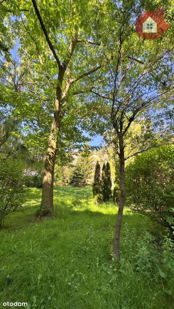 Inwestycyjnie - 4-pok. do remontu - Metro Lazurowa-16