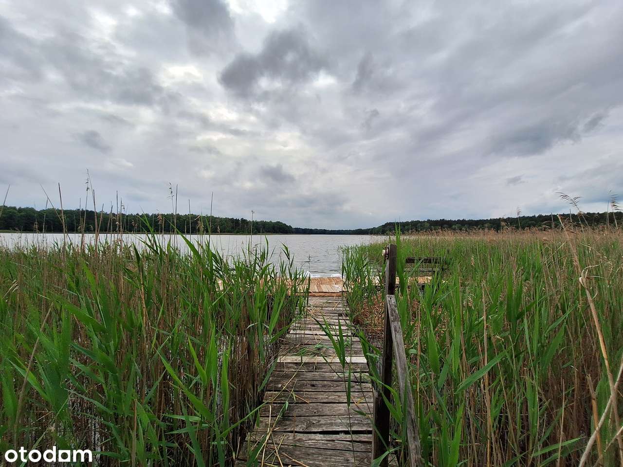 Przestronny dom w lesie, 50 m od jeziora, Radęcin-18