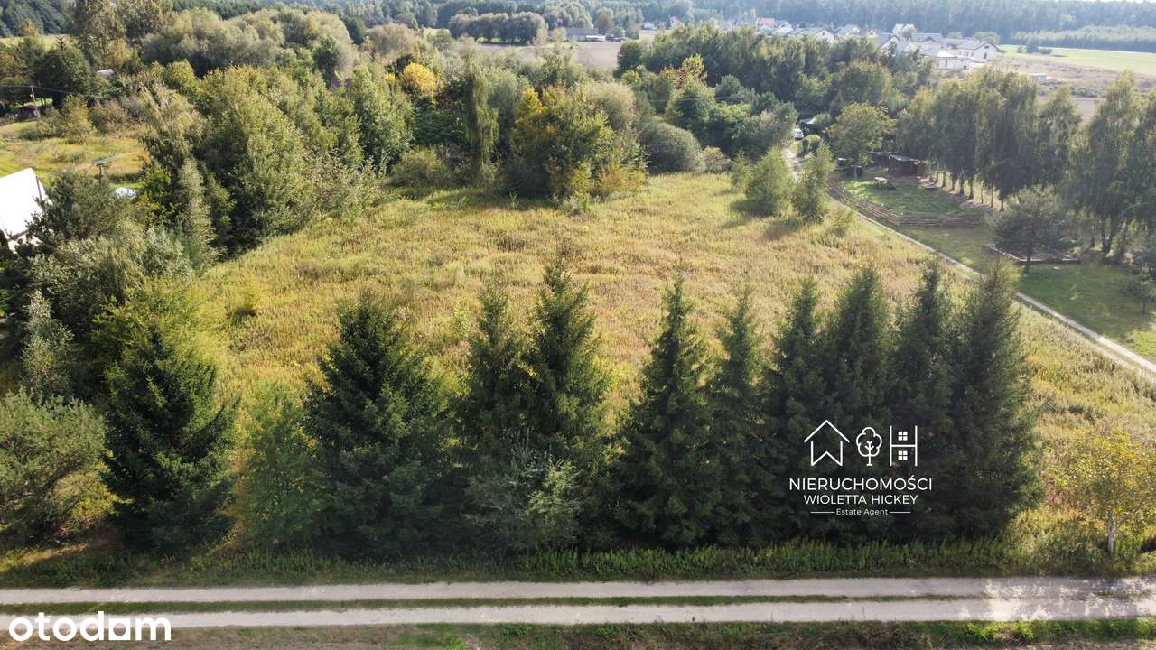2 Działki w otoczeniu drzew – Wyszyna, gmina Stara Biała k Płocka-4
