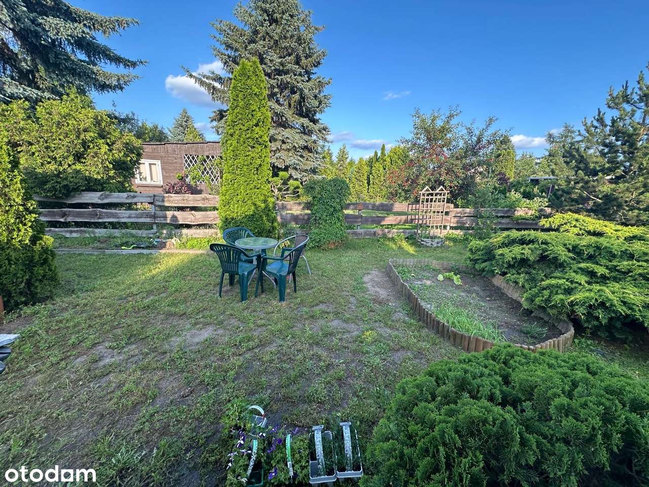 Działka ROD Bemowo II - Pełny obrazek: 5/10