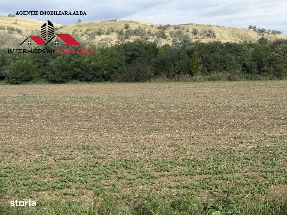 Teren extravilan 7400 mp de vanzare la iesire din  Sebes spre Daia-4