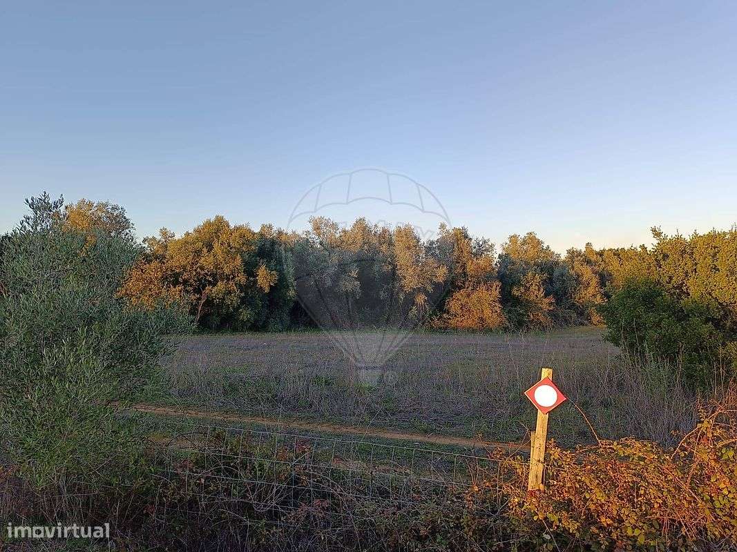 Terreno  para venda - Grande imagem: 5/10