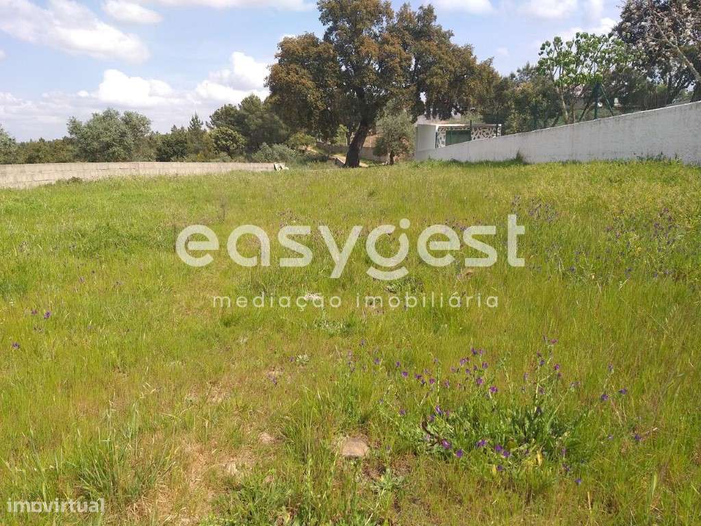 Fantástico Terreno Urbano em Benquerenças Castelo Branco - Grande imagem: 5/46