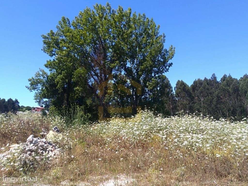 Terreno em vila do conde com 2400 metros vistas de rio - Grande imagem: 4/12