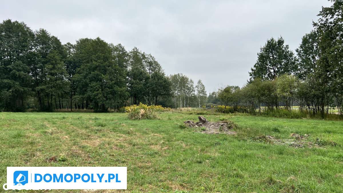 Działki na sprzedaż Kolbuszowa I Nowa wieś I WZ - Pełny obrazek: 4/7